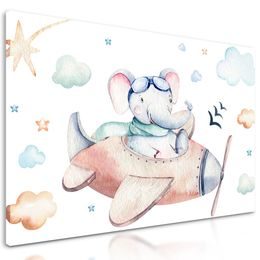 Kép elefánt repülése