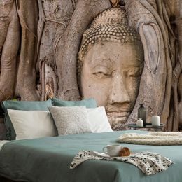 Öntapadó fotótapéta Buddha a fügefa gyökereiben