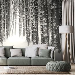 Fekete-fehér fotótapéta hóval borított fák