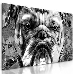 Kép mérges bulldog fekete-fehér kivitelben