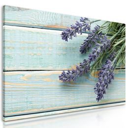 Kép növénykék a fa asztalon