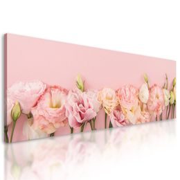 Kép virágzó virágok rózsaszín háttéren
