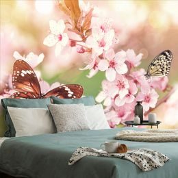 Öntapadó tapéta pillangók egy ágon a tavaszi virágok