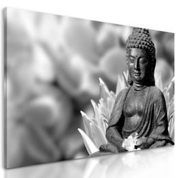 Kép fekete-fehér meditáló Buddha a virágos kertben