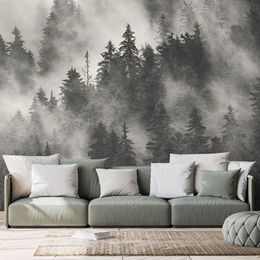 Öntapadó fotótapéta fekete-fehér fák ködbe burkolózva