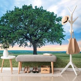 Eredeti masszív tölgy öntapadó fotótapéta