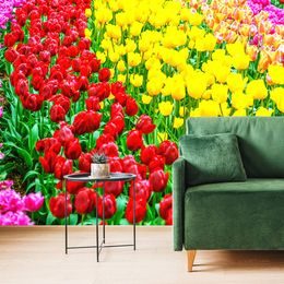 Tapéta kert tele tulipánokkal