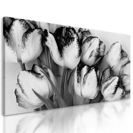 Kép tulipánok tavaszi árnyalatban fekete-fehér kivitelben