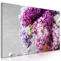 Kép csodálatos orgona vázában