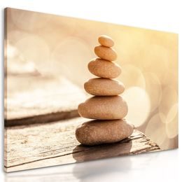 Kép egyensúly a természetben