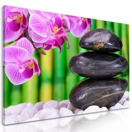 Kép bambusz Zen kert