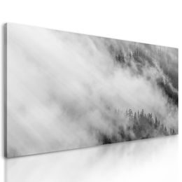 Kép köd az erdő felett fekete-fehér kivitelben