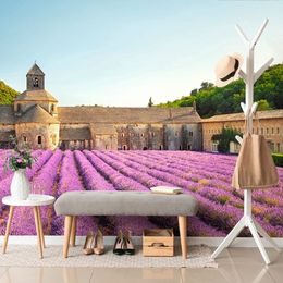 Levendula Provence fotótapéta