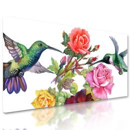 Kép festett kolibrik