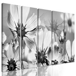 5 részes kép kivirágzott virágokkal teli kert fekete-fehér kivitelben