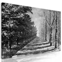 Kép havas sugárút fekete-fehér kivitelben