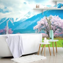 Tapéta Sakura a hegyek lábánál