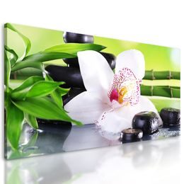 Kép Zen csendélet orchideával
