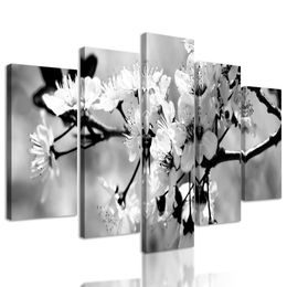 5 részes kép gyönyörű virág fekete-fehér kivitelben