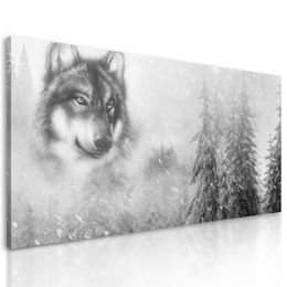 Kép farkas portréja fekete-fehér kivitelben