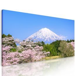 Kép csodálatos Japán vulkán Fuji