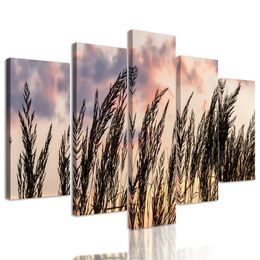 5 részes kép mezei fű égi háttérrel