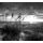 Fekete fehér fotótapéta naplemente a tengerpartról