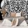 Öntapadó tapéta fekete-fehér absztrakt Mandala