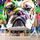 Bulldog tapéta pop art stílusban
