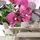 Fotótapéta lávakövek orchideával