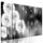 5 részes kép bolyhos pitypangok fekete-fehér kivitelben