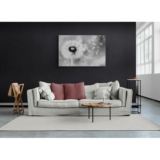 Kép pitypang és a szél érintése fekete-fehér kivitelben