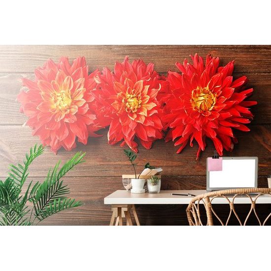 Öntapadó fotótapéta dália virágok fából készült alapon