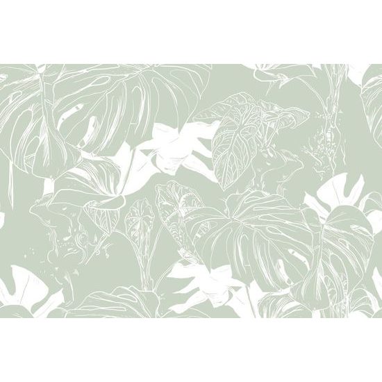 Tapéta elegáns monstera zöld tónusokkal
