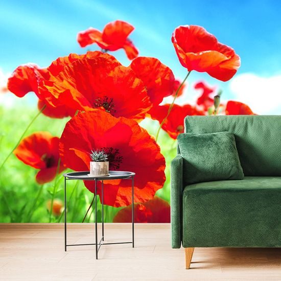 Öntapadó fotótapéta pipacsok a réten