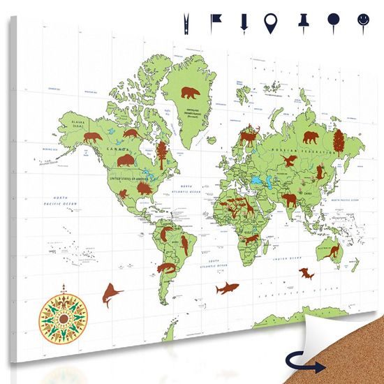 Parafa kép térkép jellegzetes álatokkal