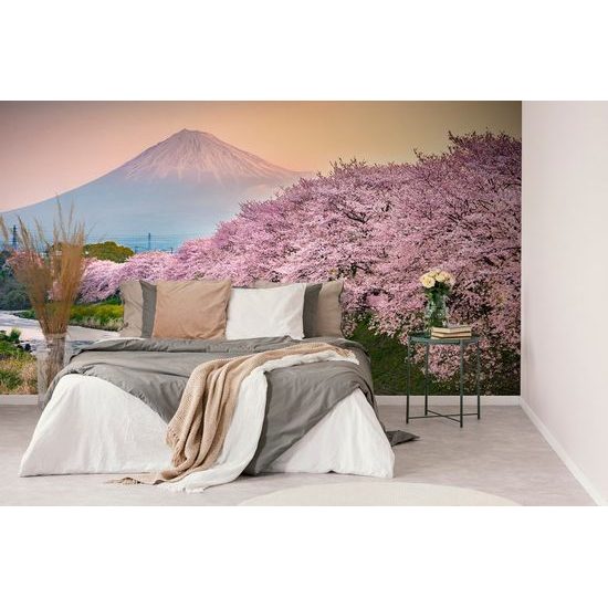 Öntapadó fotótapéta sakura a japán Fuji alatt