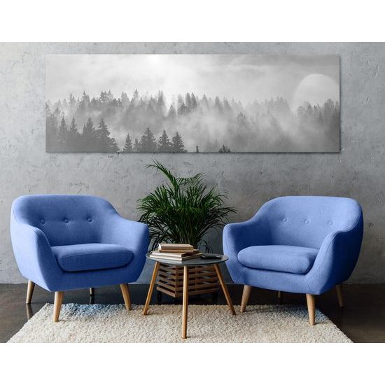 Kép reggeli napsugarak az erdő felett fekete-fehér kivitelben