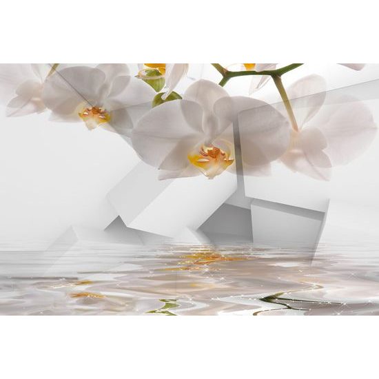 Fotótapéta romantikus orchidea