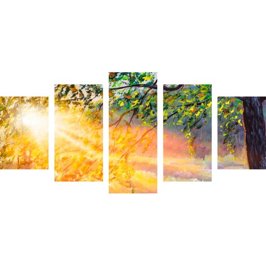 5 részes kép napsugarakban ébredező erdő