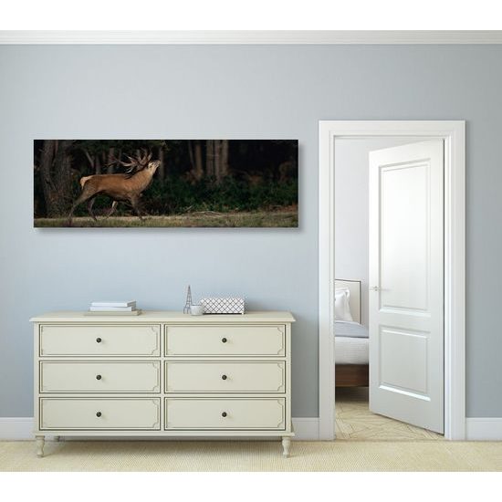 Kép csodálatos szarvas