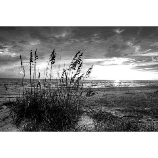 Kép fekete-fehér naplemente a partról