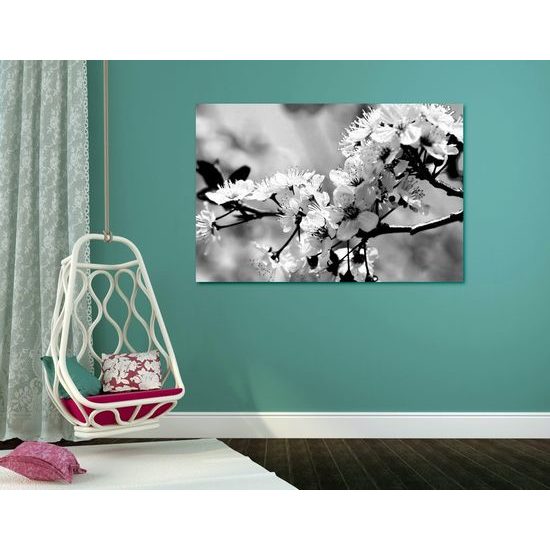 Kép gyönyörű virág fekete-fehér kivitelben