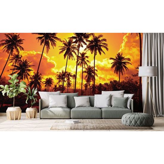 Öntapadó tapéta kókuszfák a napban