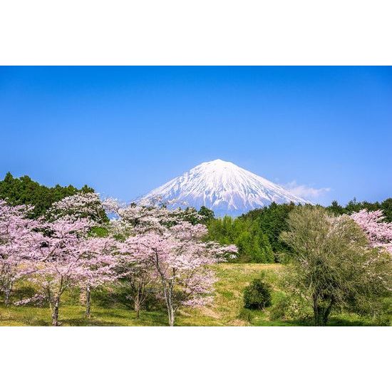 Öntapadó fotótapéta Fuji a japán természet ölelésében