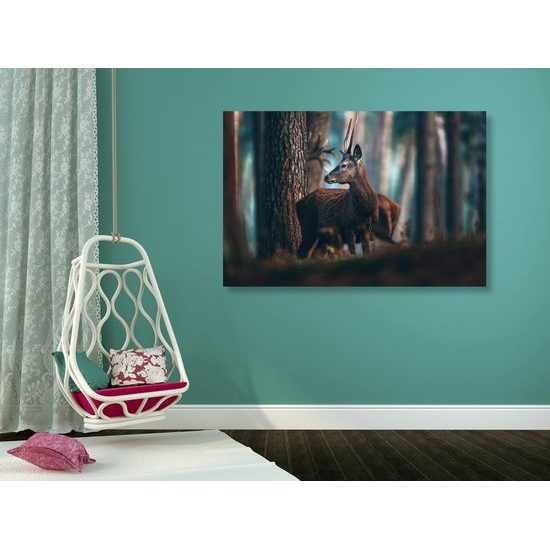 Kép fiatal szarvas az erdő közepén