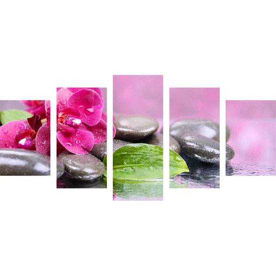 5 részes kép nyugtató orchidea
