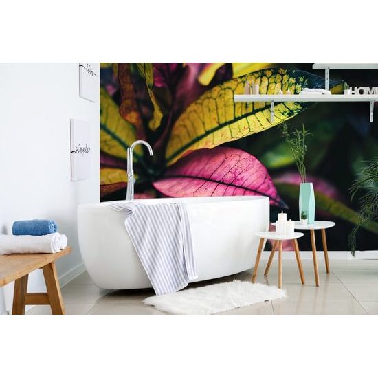 Öntapadó fotótapéta érdekes levelek