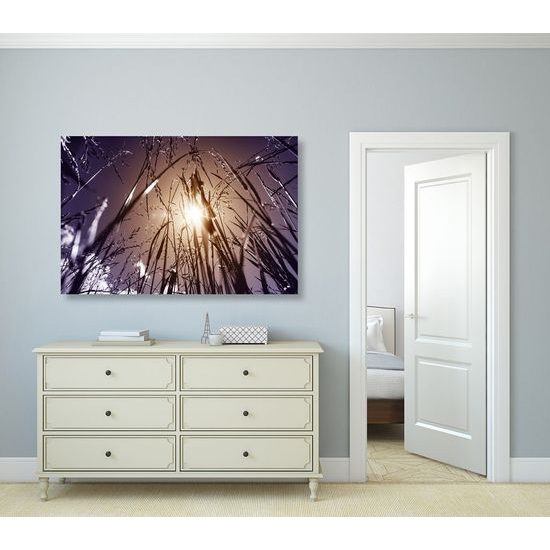 Kép rét művészi kivitelben