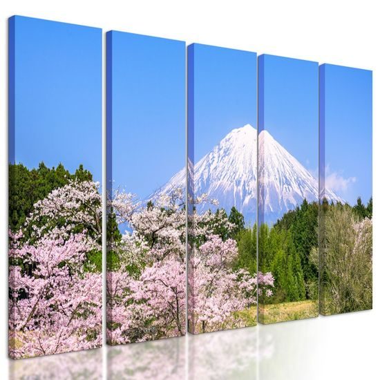 5 részes kép japán vulkán Fuji